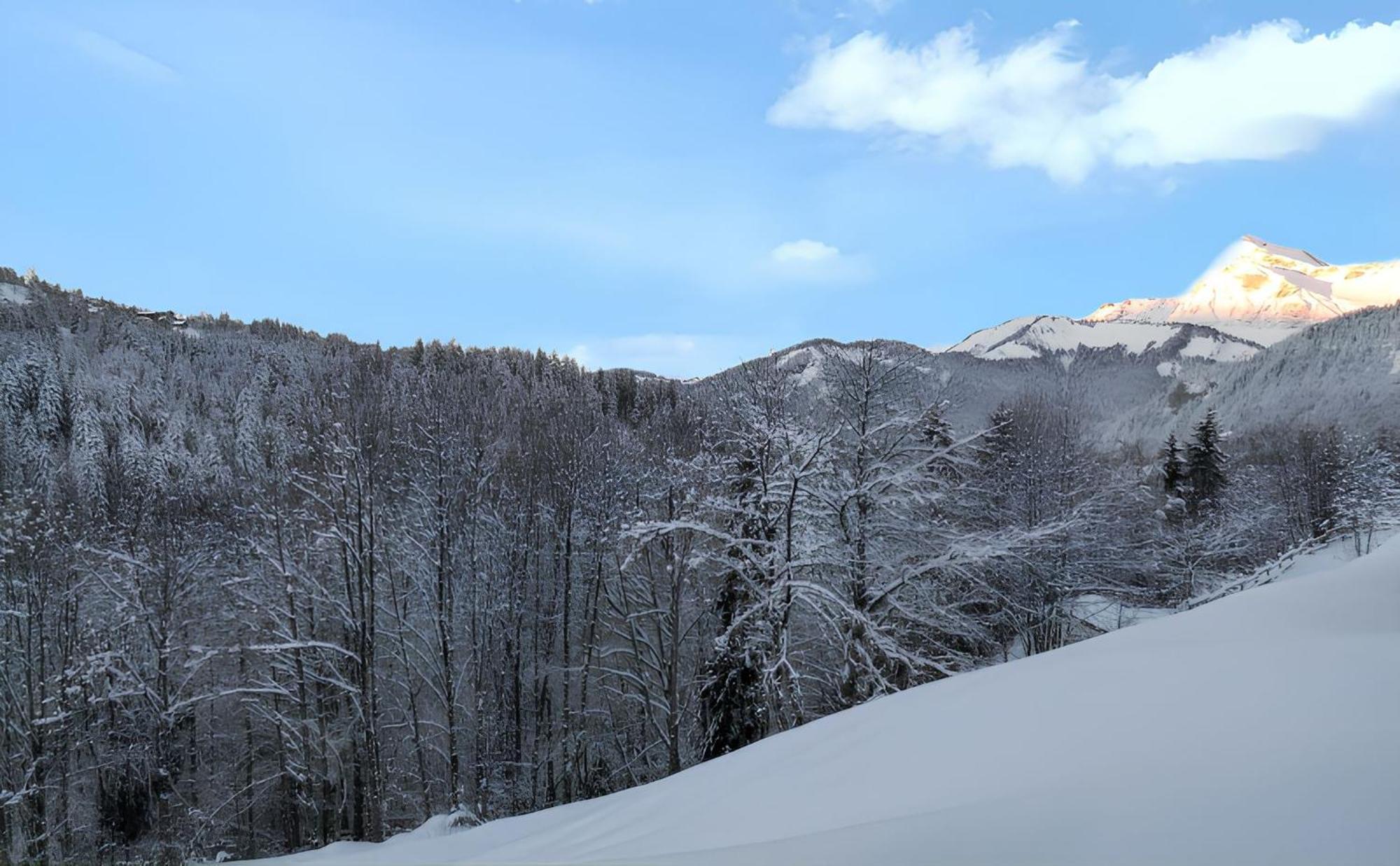 Appartement Confortable Avec Vue Sur La Montagne Notre-Dame-de-Bellecombe Extérieur photo